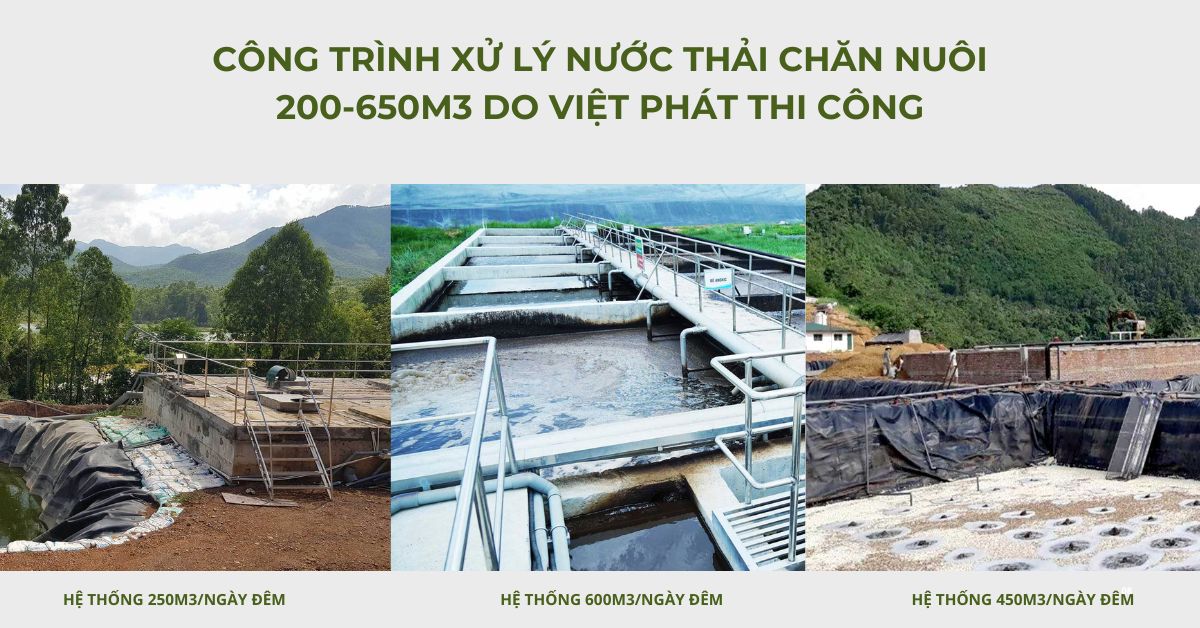 Công trình xử lý nước thải chăn nuôi 200-650m3/24h do Việt Phát thi công