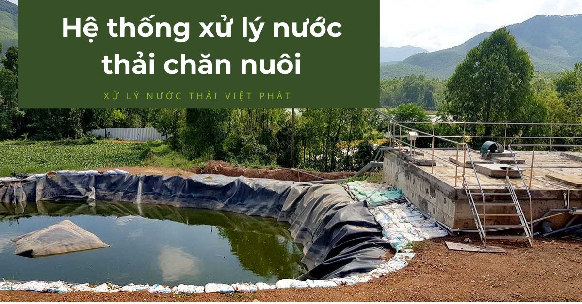 Hệ thống xử lý nước thải chăn nuôi Việt Phát