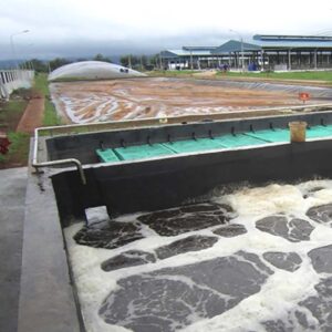 Hệ thống xử lý nước thải chăn nuôi 100m3/24h