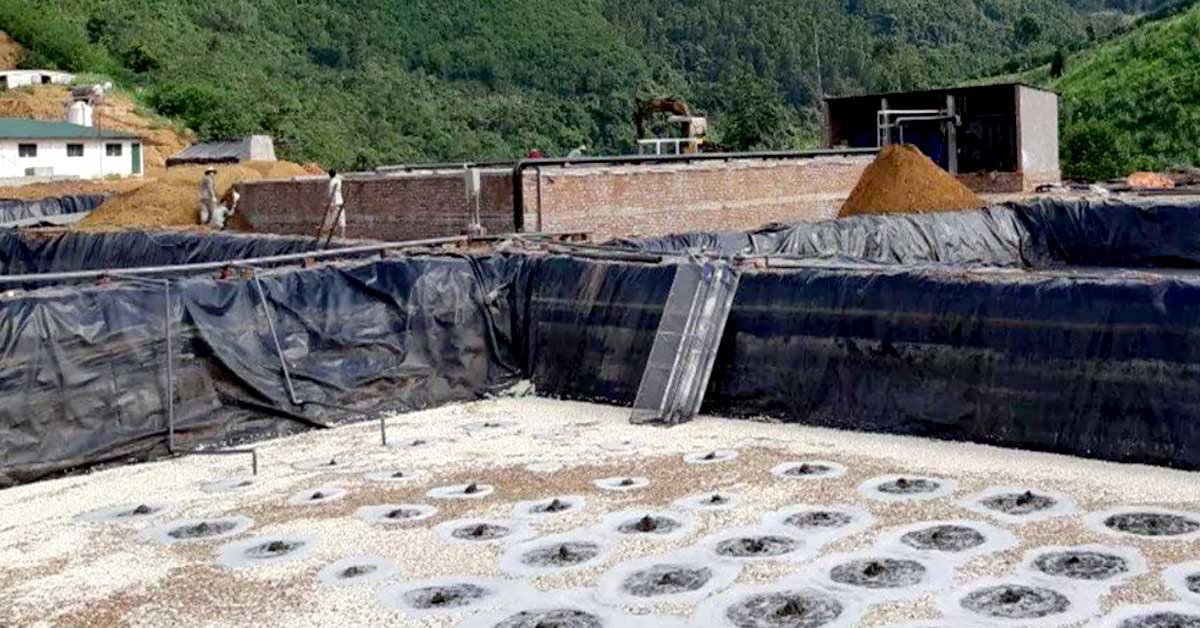 Việt Phát thi công hệ thống xử lý nước thải chăn nuôi cho khách tại Phú Thọ