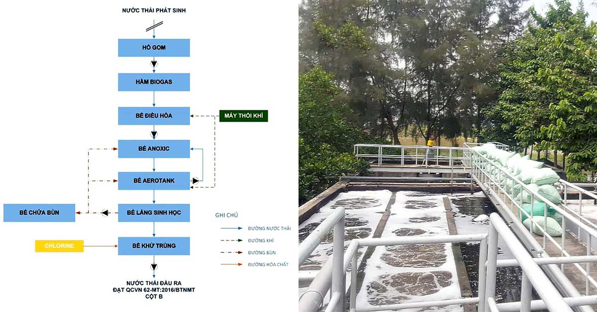 Sơ đồ quy trình hoạt động của hệ thống xử lý nước thải chăn nuôi