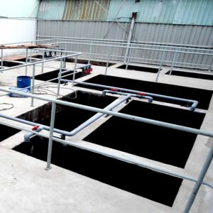 Hệ thống xử lý nước thải chăn nuôi 20m3/24h