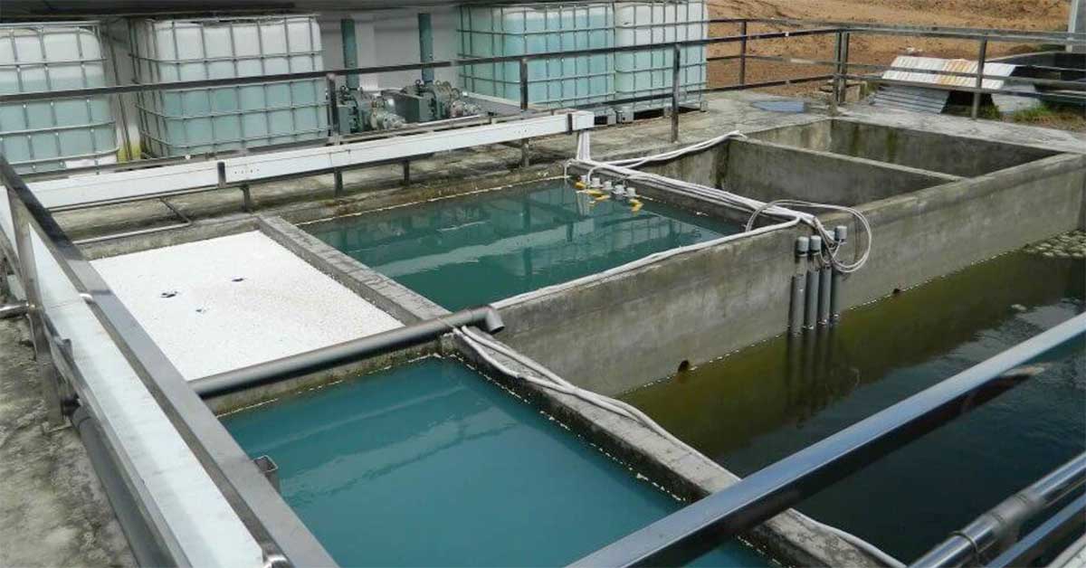 Hệ thống xử lý nước thải bằng phương pháp keo tụ tạo bông
