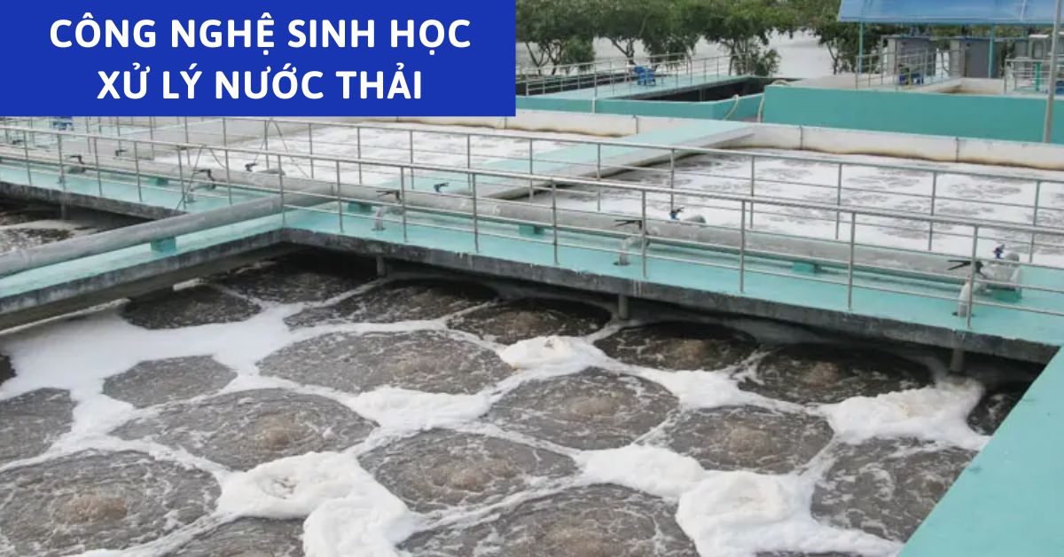 Giới Thiệu Về Công Nghệ Sinh Học Xử Lý Nước Thải
