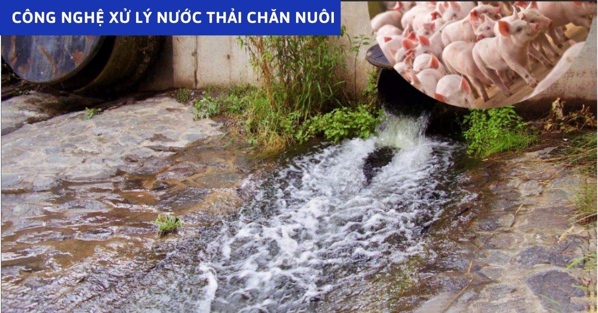 Công Nghệ Xử Lý Nước Thải Chăn Nuôi: Giải Pháp Bảo Vệ Môi Trường Hiệu Quả