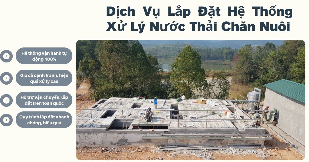 Dịch Vụ Lắp Đặt Hệ Thống Xử Lý Nước Thải Chăn Nuôi 