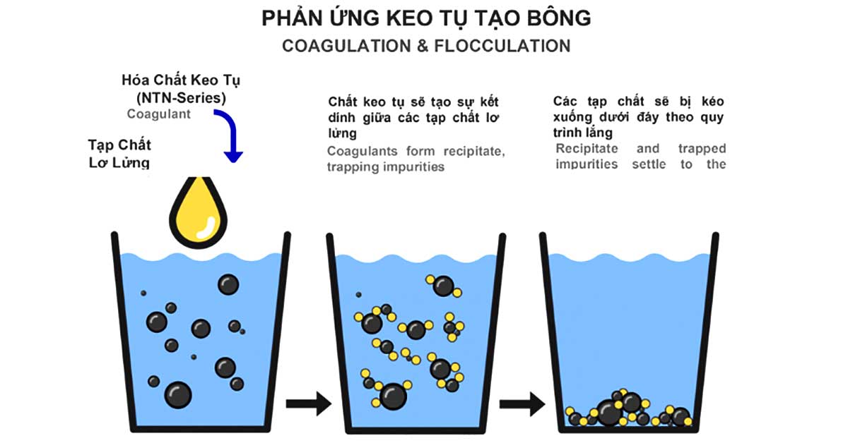 Nguyên lý hoạt động của bể keo tụ tạo bông