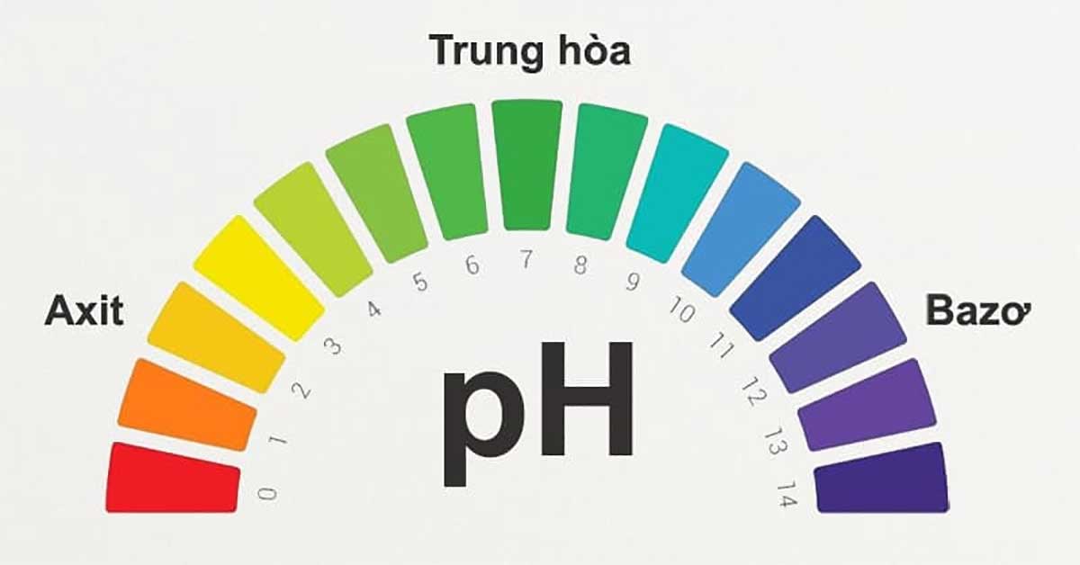 Kiểm soát pH trong khoảng tối ưu để nâng cao hiệu suất xử lý nước thải sinh học