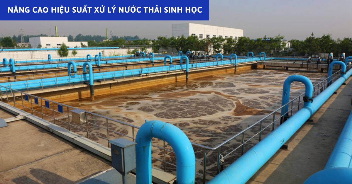 Nâng Cao Hiệu Suất Xử Lý Nước Thải Sinh Học