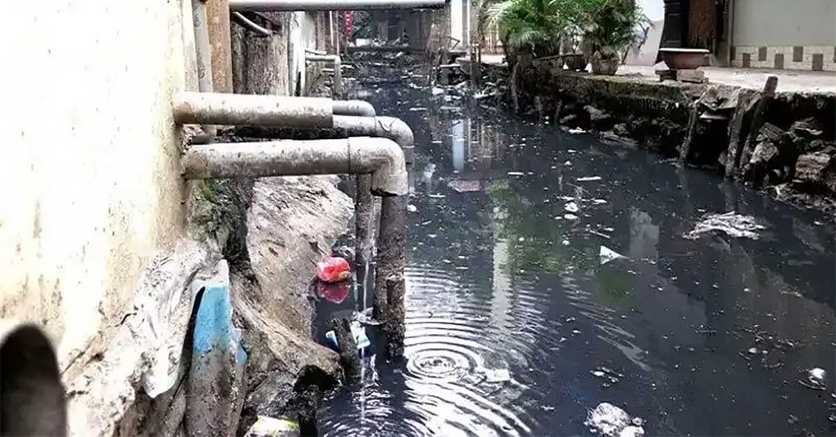 Nước thải sinh hoạt gây ô nhiễm môi trường