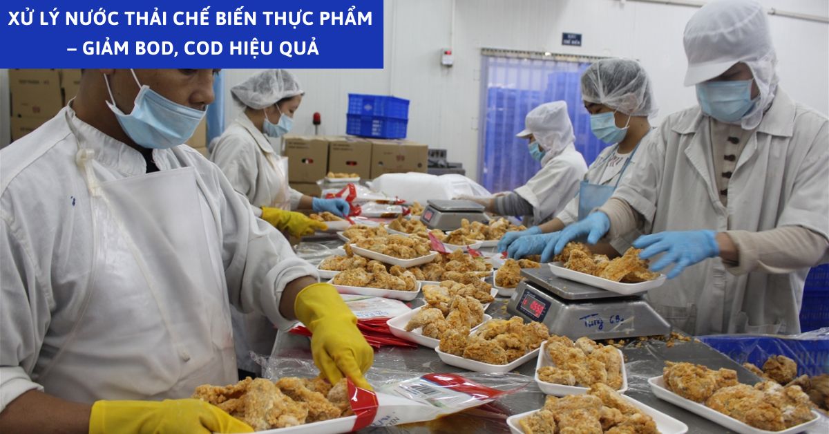 Xử Lý Nước Thải Chế Biến Thực Phẩm – Giảm BOD, COD Hiệu Quả