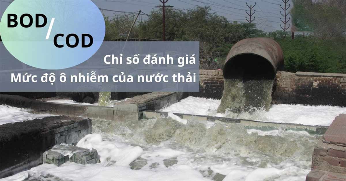 COD, BOD là gì?
