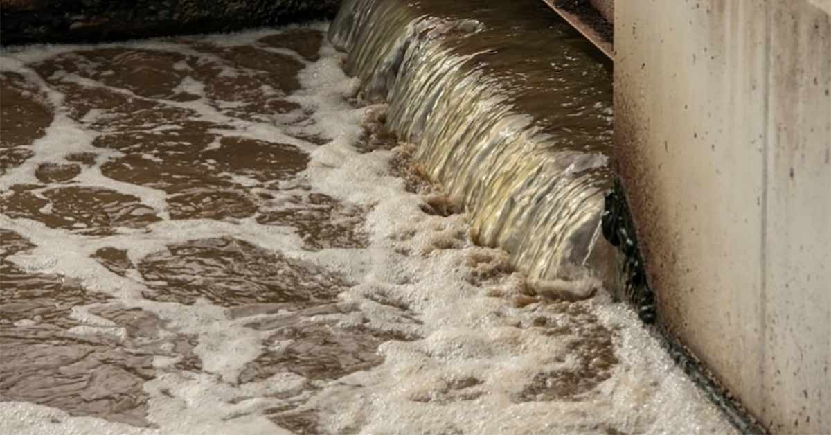 Nước thải khu du lịch nếu không được xử lý sẽ gây ô nhiễm môi trường