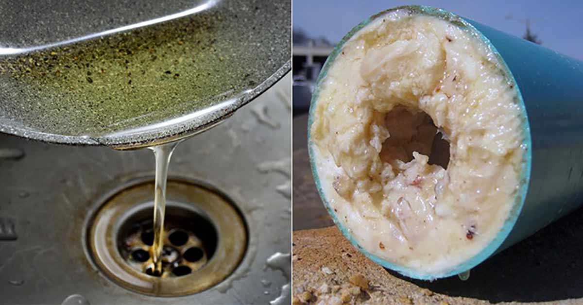 Tác hại của nước thải chứa dầu mỡ