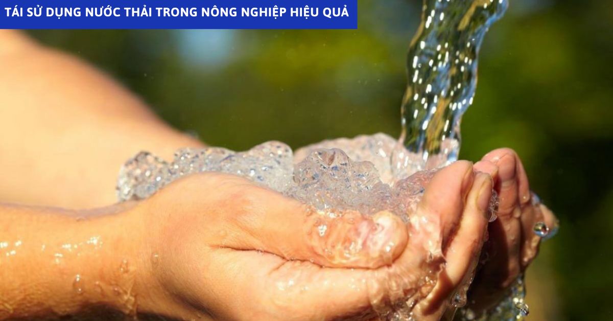 Tái Sử Dụng Nước Thải Trong Nông Nghiệp Hiệu Quả