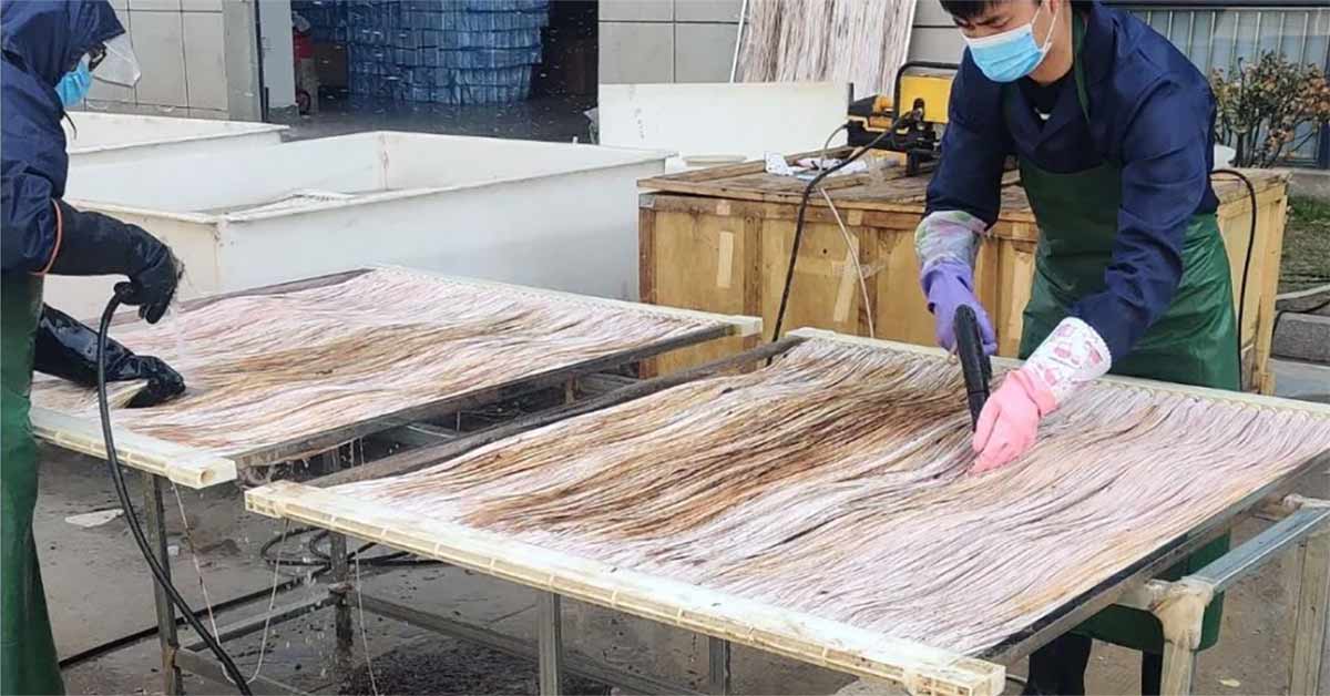 Vệ sinh màng MBR định kỳ giúp kéo dài tuổi thọ của màng