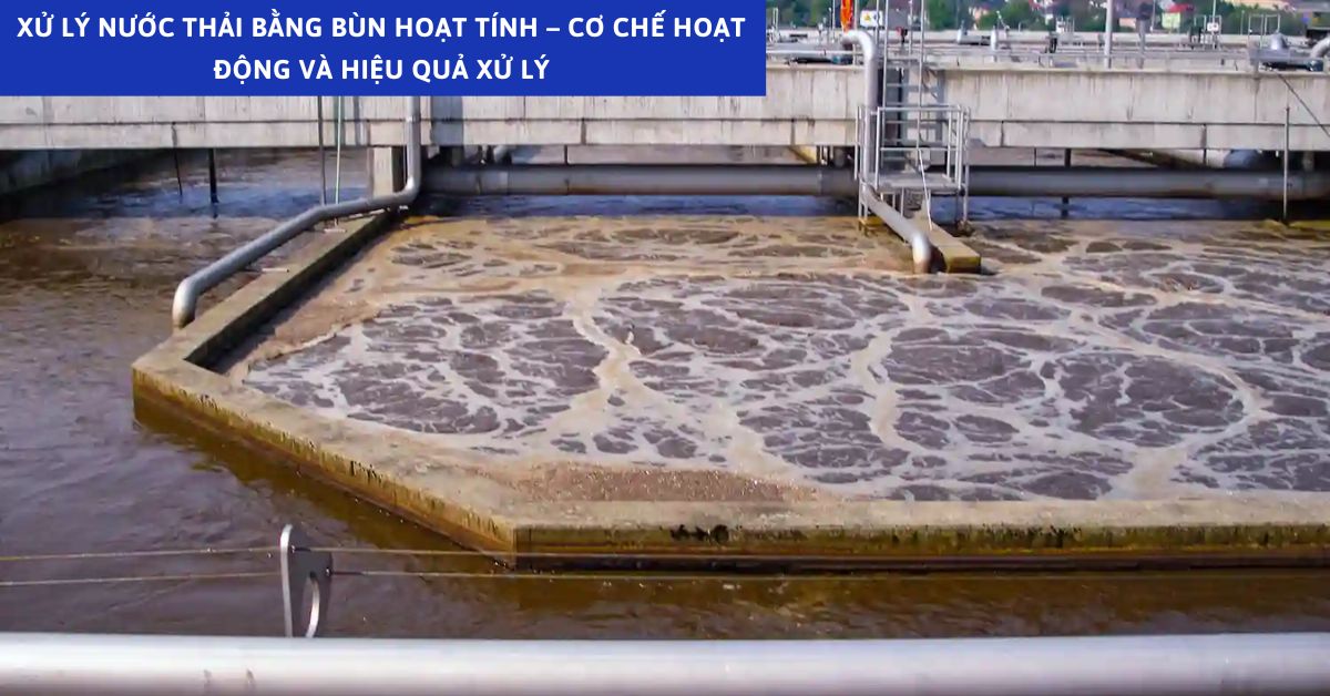 Xử Lý Nước Thải Bằng Bùn Hoạt Tính – Cơ Chế Hoạt Động Và Hiệu Quả Xử Lý