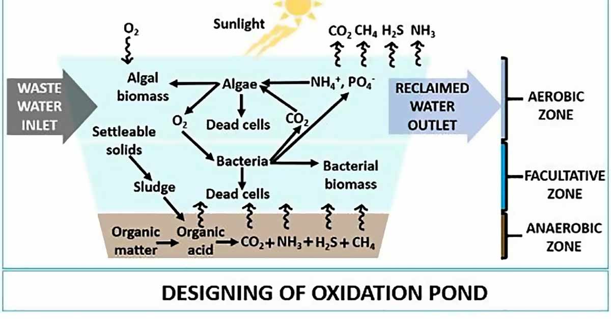 Quy trình xử lý nước thải xử lý bằng hồ sinh học