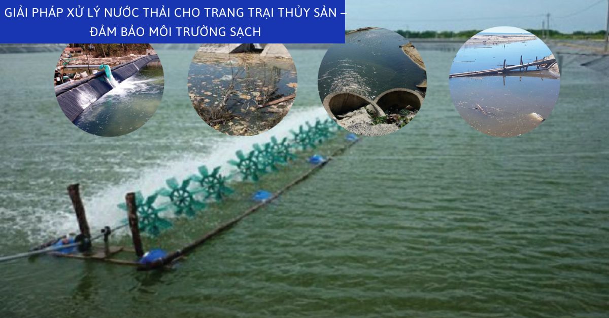 Giải Pháp Xử Lý Nước Thải Cho Trang Trại Thủy Sản – Đảm Bảo Môi Trường Sạch