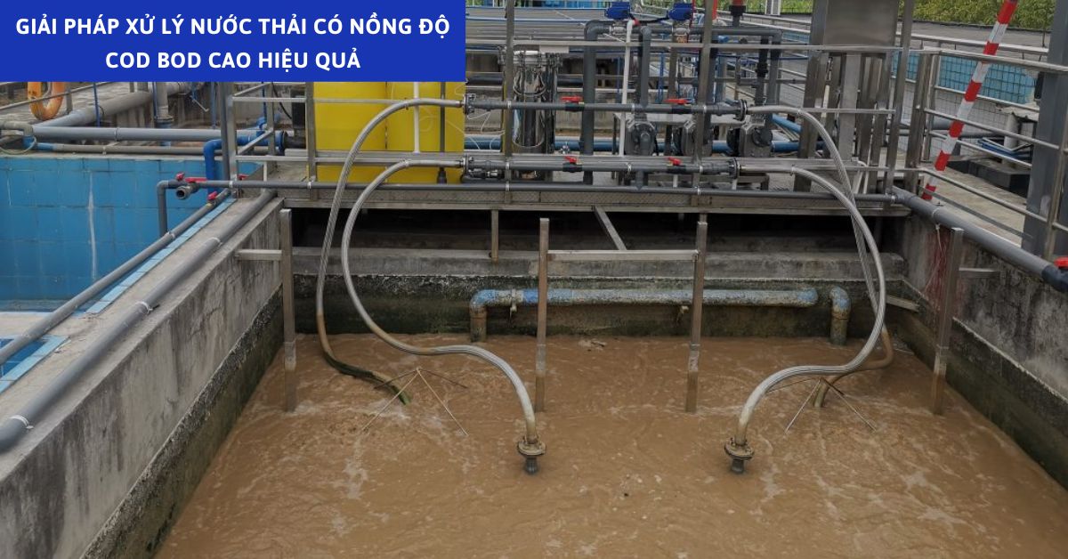 Giải Pháp Xử Lý Nước Thải Có Nồng Độ COD BOD Cao Hiệu Quả