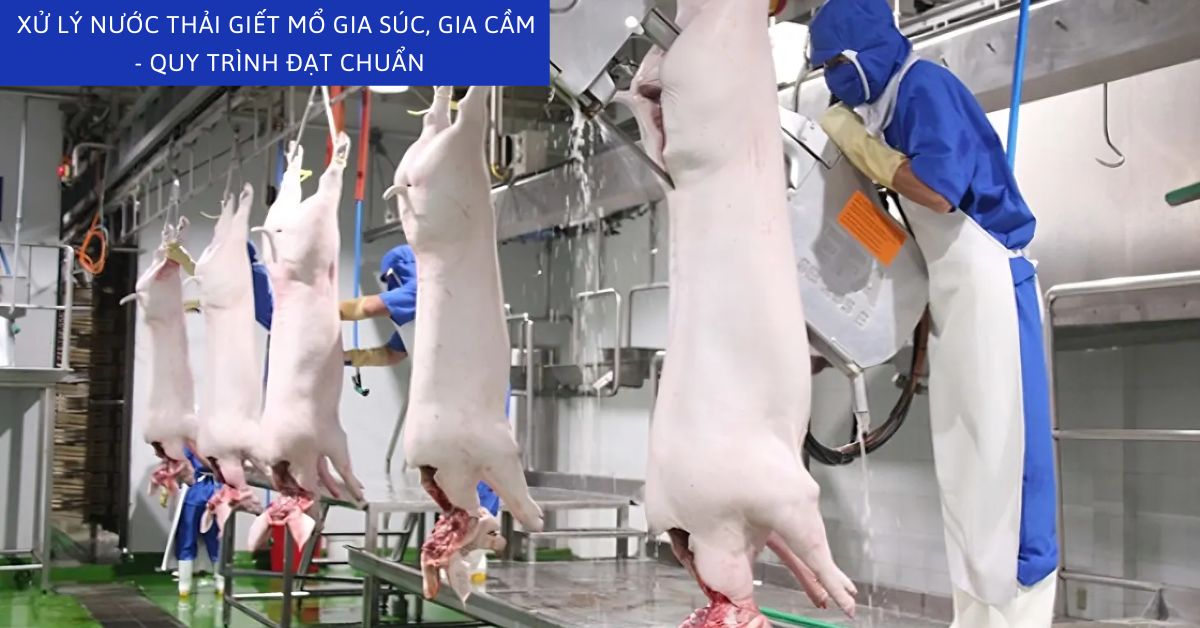 Xử Lý Nước Thải Giết Mổ Gia Súc, Gia Cầm - Quy Trình Đạt Chuẩn