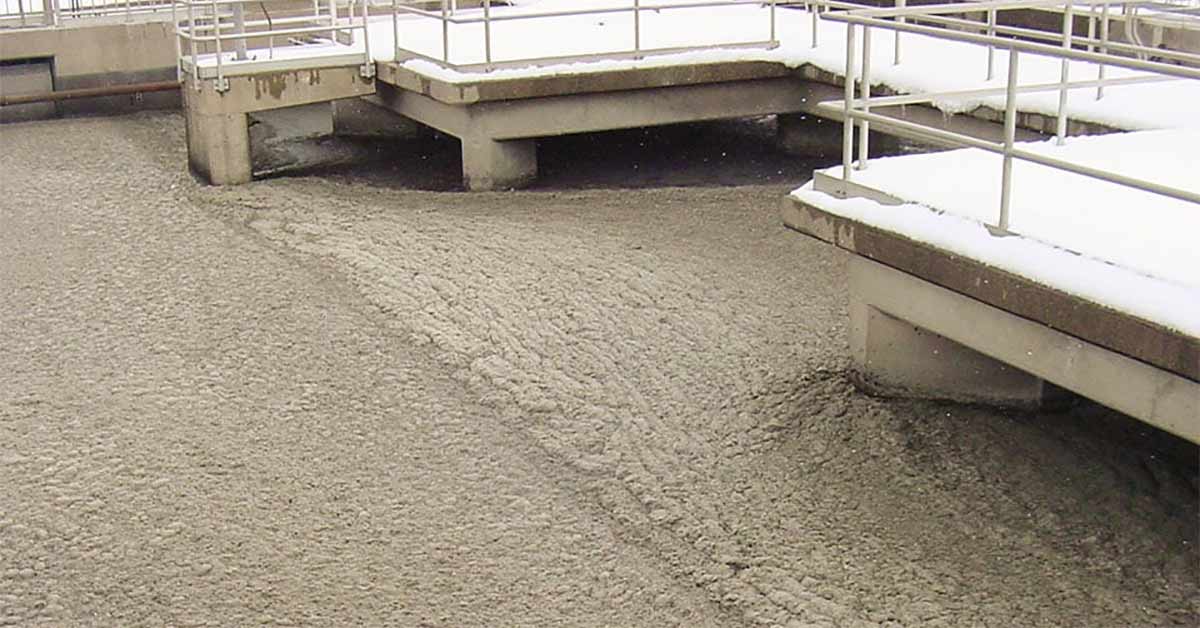 Hệ vi sinh hoạt động kém, bùn sinh học phát triển bất thường