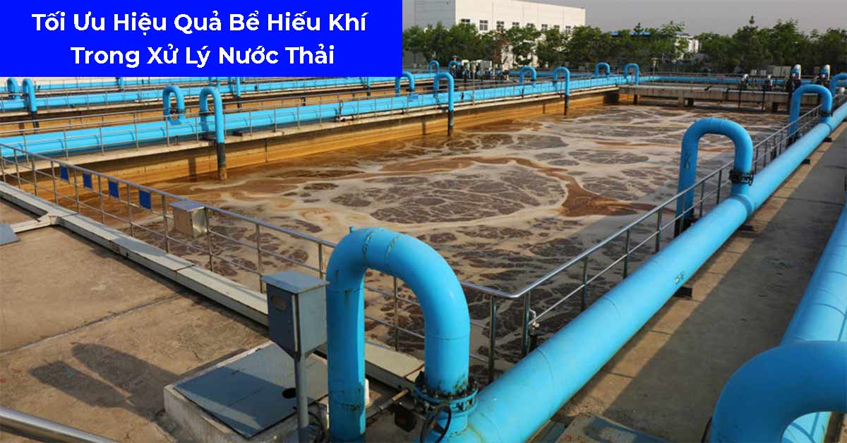 Tối Ưu Hóa Hiệu Quả Bể Hiếu Khí Trong Xử Lý Nước Thải – Giải Pháp Bền Vững Cho Hệ Thống Sinh Học