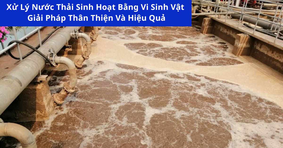 Xử Lý Nước Thải Sinh Hoạt Bằng Vi Sinh Vật: Giải Pháp Thân Thiện Và Hiệu Quả