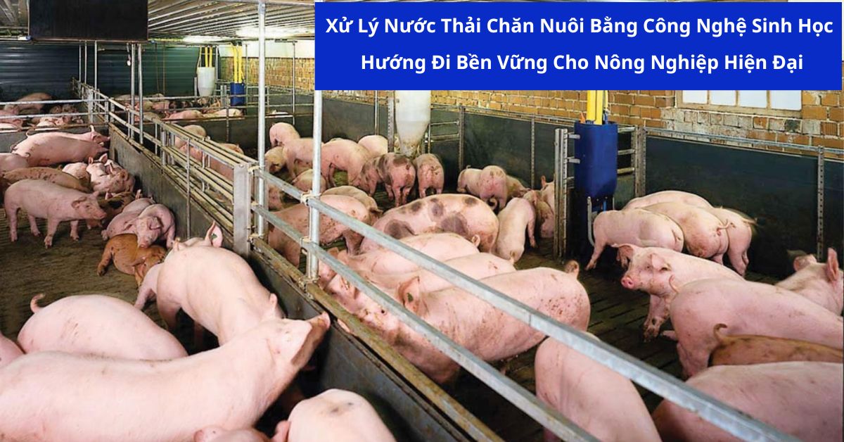 Xử Lý Nước Thải Chăn Nuôi Bằng Công Nghệ Sinh Học – Hướng Đi Bền Vững Cho Nông Nghiệp Hiện Đại