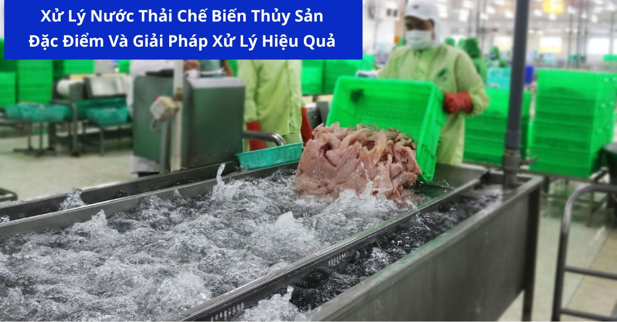 Xử Lý Nước Thải Chế Biến Thủy Sản: Đặc Điểm Và Giải Pháp Xử Lý Hiệu Quả