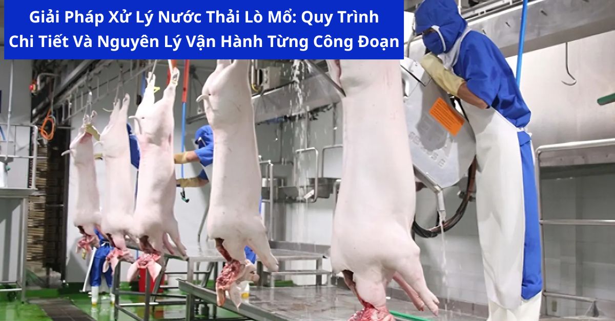 Giải Pháp Xử Lý Nước Thải Lò Mổ: Quy Trình Chi Tiết Và Nguyên Lý Vận Hành Từng Công Đoạn