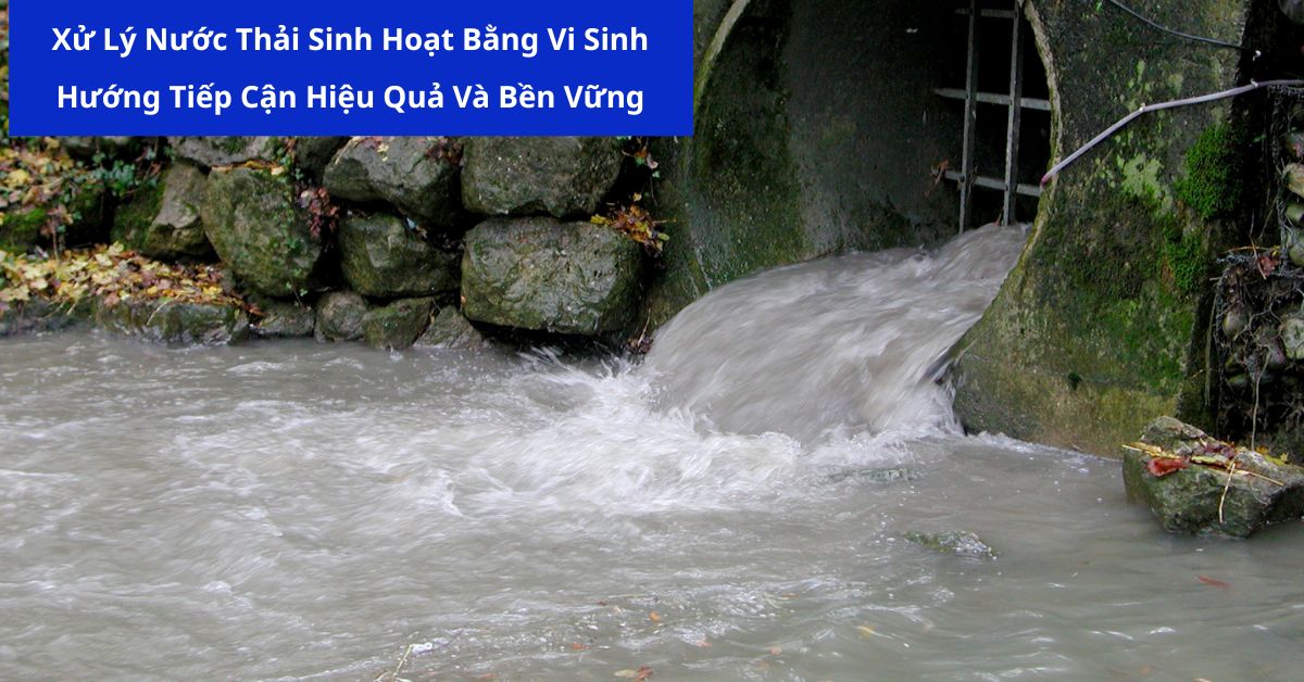 Xử Lý Nước Thải Sinh Hoạt Bằng Vi Sinh: Hướng Tiếp Cận Hiệu Quả Và Bền Vững