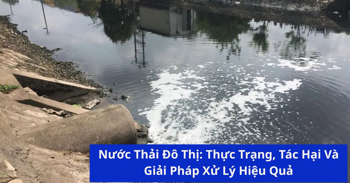 Nước Thải Đô Thị: Thực Trạng, Tác Hại Và Giải Pháp Xử Lý Hiệu Quả
