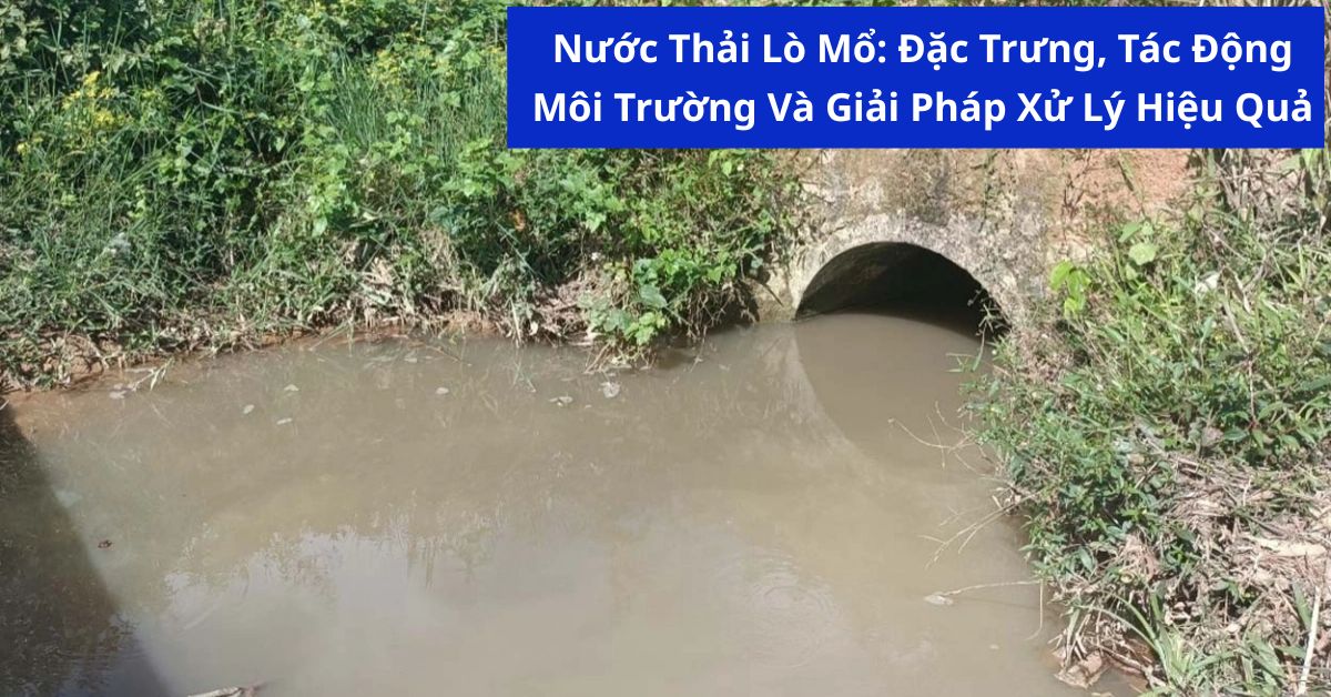Nước Thải Lò Mổ: Đặc Trưng, Tác Động Môi Trường Và Giải Pháp Xử Lý Hiệu Quả