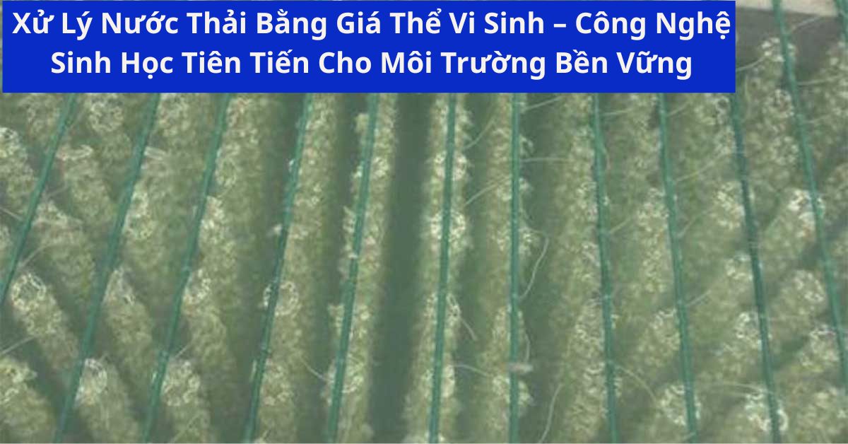 Xử Lý Nước Thải Bằng Giá Thể Vi Sinh – Công Nghệ Sinh Học Tiên Tiến Cho Môi Trường Bền Vững