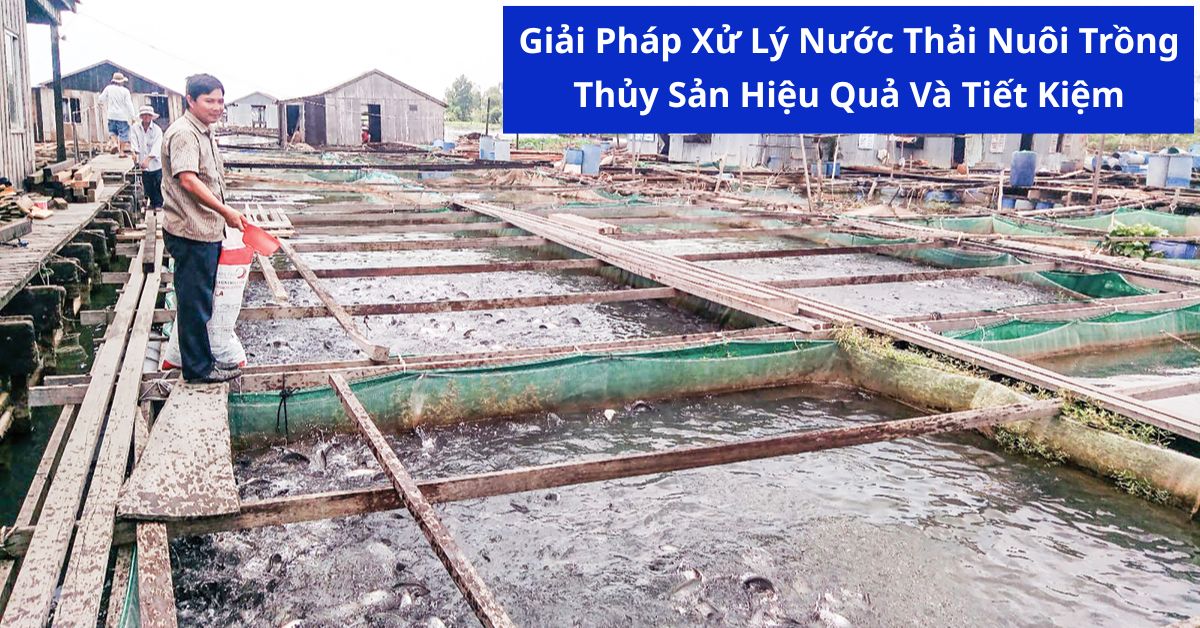 Giải Pháp Xử Lý Nước Thải Nuôi Trồng Thủy Sản Hiệu Quả Và Tiết Kiệm