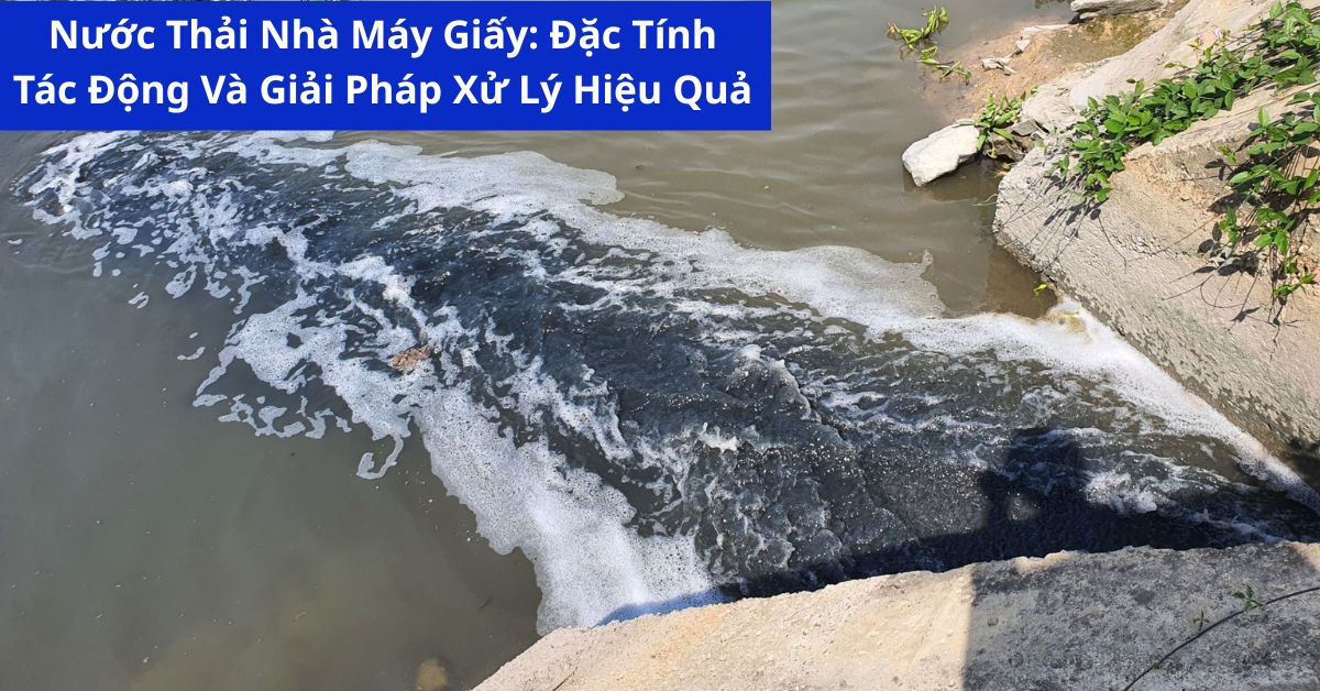 Nước Thải Nhà Máy Giấy: Đặc Tính, Tác Động Và Giải Pháp Xử Lý Hiệu Quả