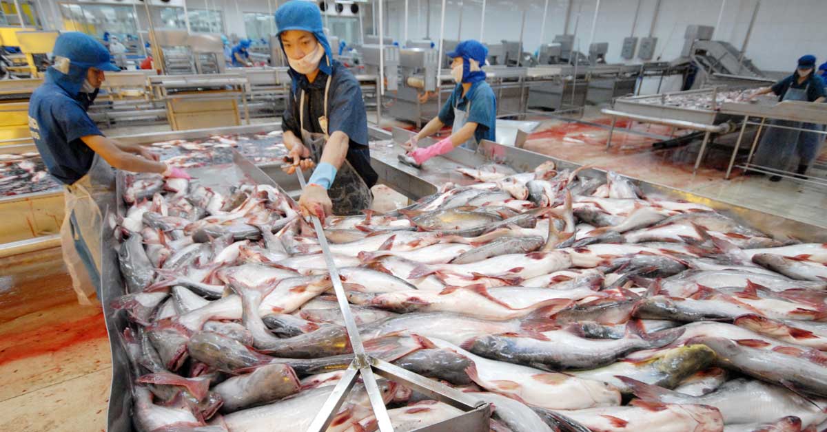 Nước thải thủy sản phát sinh từ khâu rửa chế biến