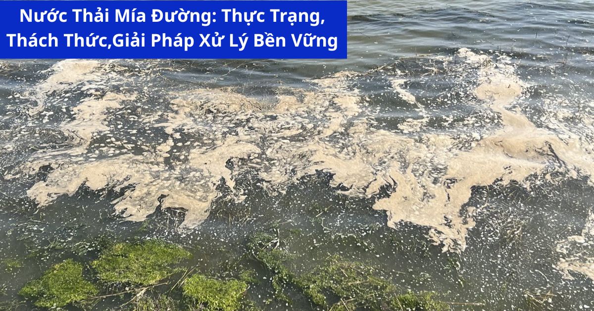 Nước Thải Mía Đường: Thực Trạng, Thách Thức Và Giải Pháp Xử Lý Bền Vững