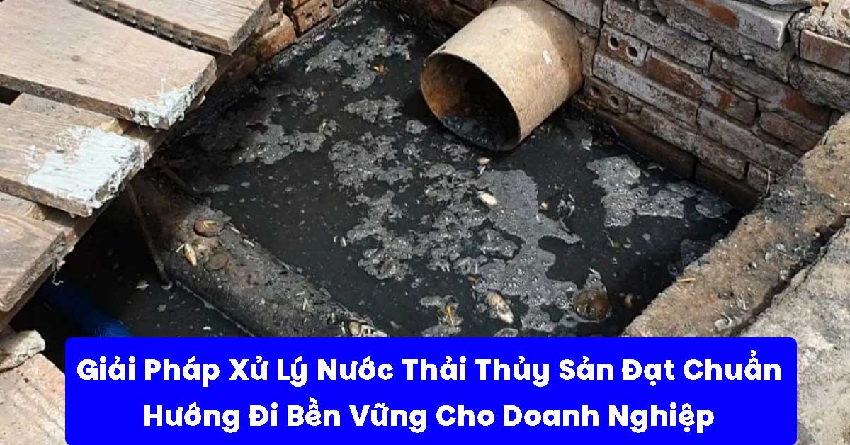 Giải Pháp Xử Lý Nước Thải Thủy Sản Đạt Chuẩn – Hướng Đi Bền Vững Cho Doanh Nghiệp Chế Biến Thủy Sản