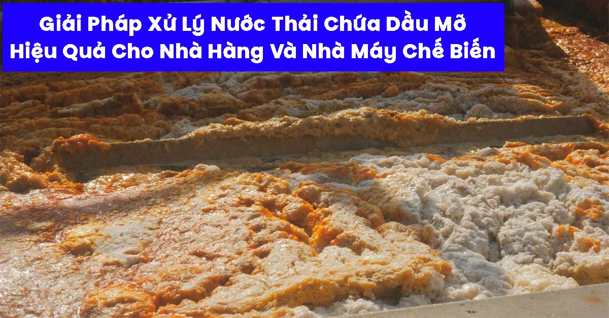Giải Pháp Xử Lý Nước Thải Chứa Dầu Mỡ Hiệu Quả Cho Nhà Hàng Và Nhà Máy Chế Biến