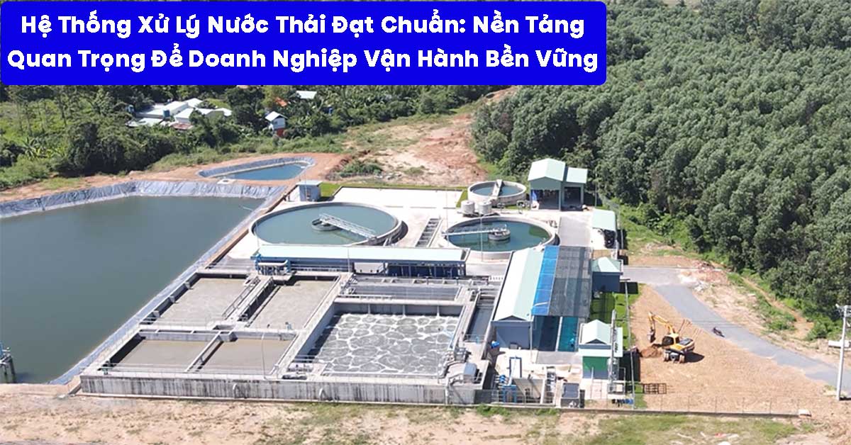 Hệ Thống Xử Lý Nước Thải Đạt Chuẩn: Nền Tảng Quan Trọng Để Doanh Nghiệp Vận Hành Bền Vững