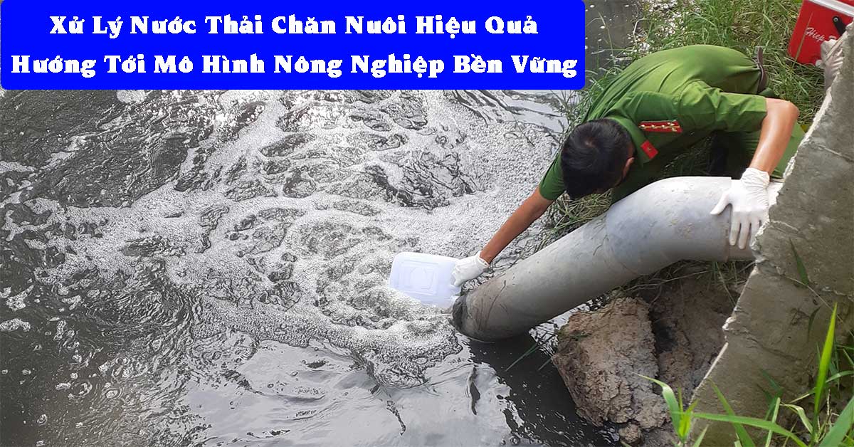 Xử Lý Nước Thải Chăn Nuôi Hiệu Quả – Hướng Tới Mô Hình Nông Nghiệp Bền Vững