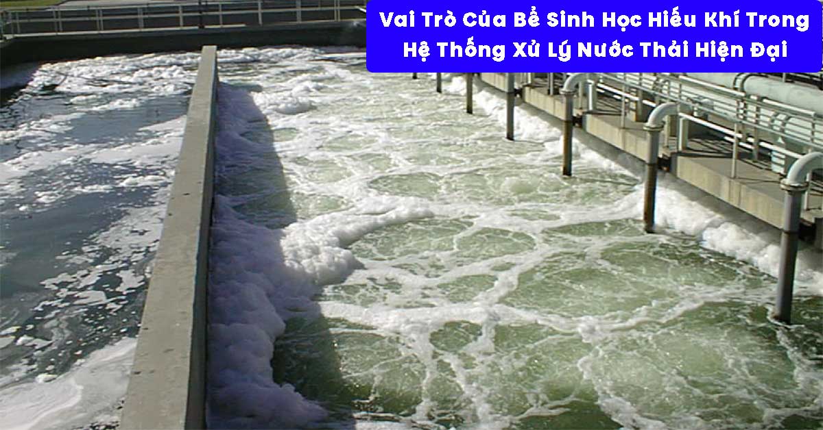 Vai Trò Của Bể Sinh Học Hiếu Khí Trong Hệ Thống Xử Lý Nước Thải Hiện Đại