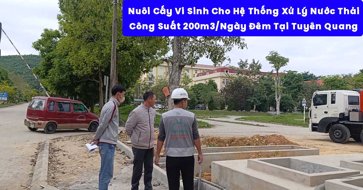 Nuôi Cấy Vi Sinh Cho Hệ Thống Xử Lý Nước Thải 200m3/Ngày Đêm Tại Tuyên Quang