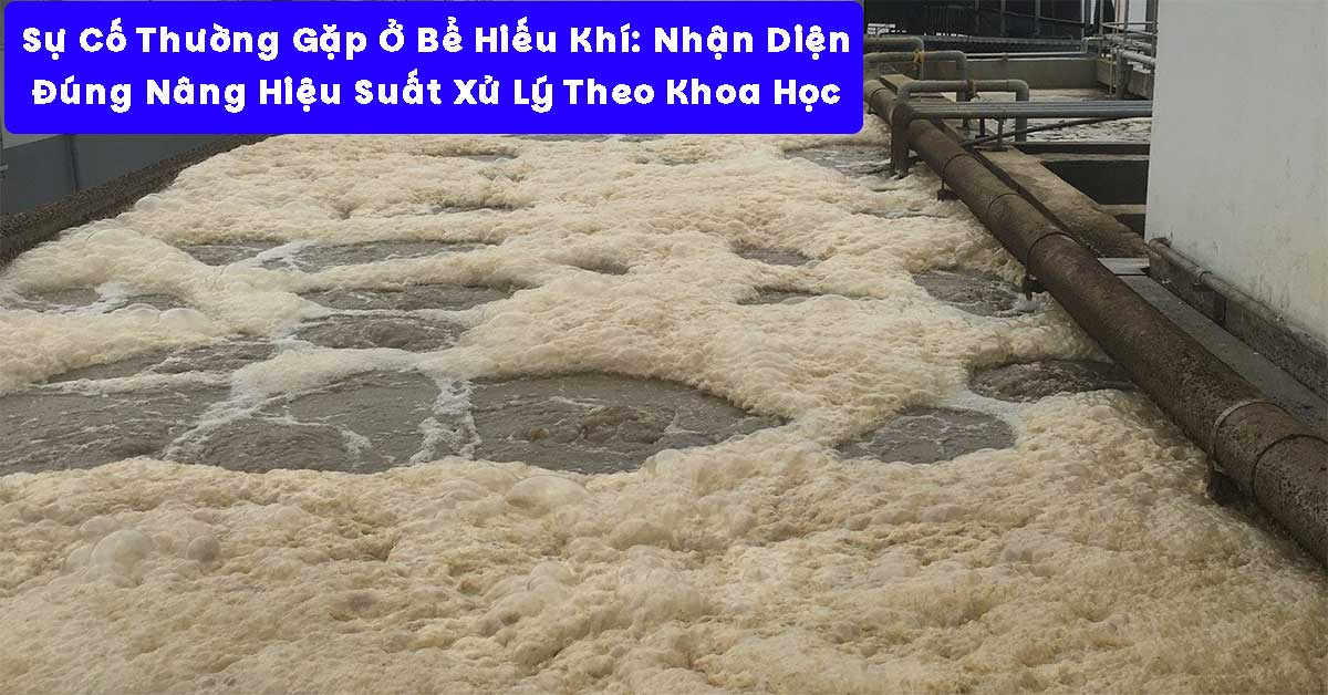 Sự Cố Thường Gặp Ở Bể Hiếu Khí: Nhận Diện Đúng – Nâng Hiệu Suất Xử Lý Theo Khoa Học