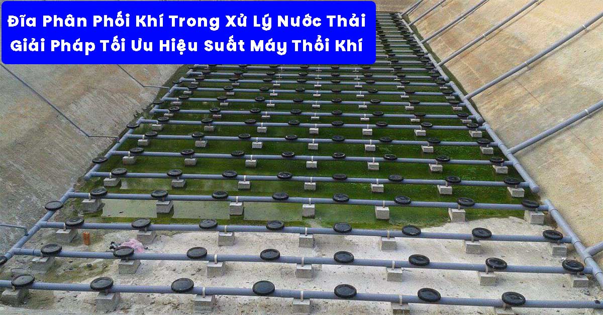Đĩa Phân Phối Khí Trong Xử Lý Nước Thải – Giải Pháp Tối Ưu Hiệu Suất Máy Thổi Khí