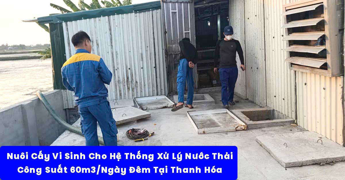Nuôi Cấy Vi Sinh Cho Hệ Thống Xử Lý Nước Thải 60m3/Ngày Đêm Tại Thanh Hóa