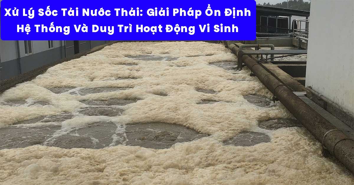 Xử Lý Sốc Tải Nước Thải: Giải Pháp Ổn Định Hệ Thống Và Duy Trì Hoạt Động Vi Sinh