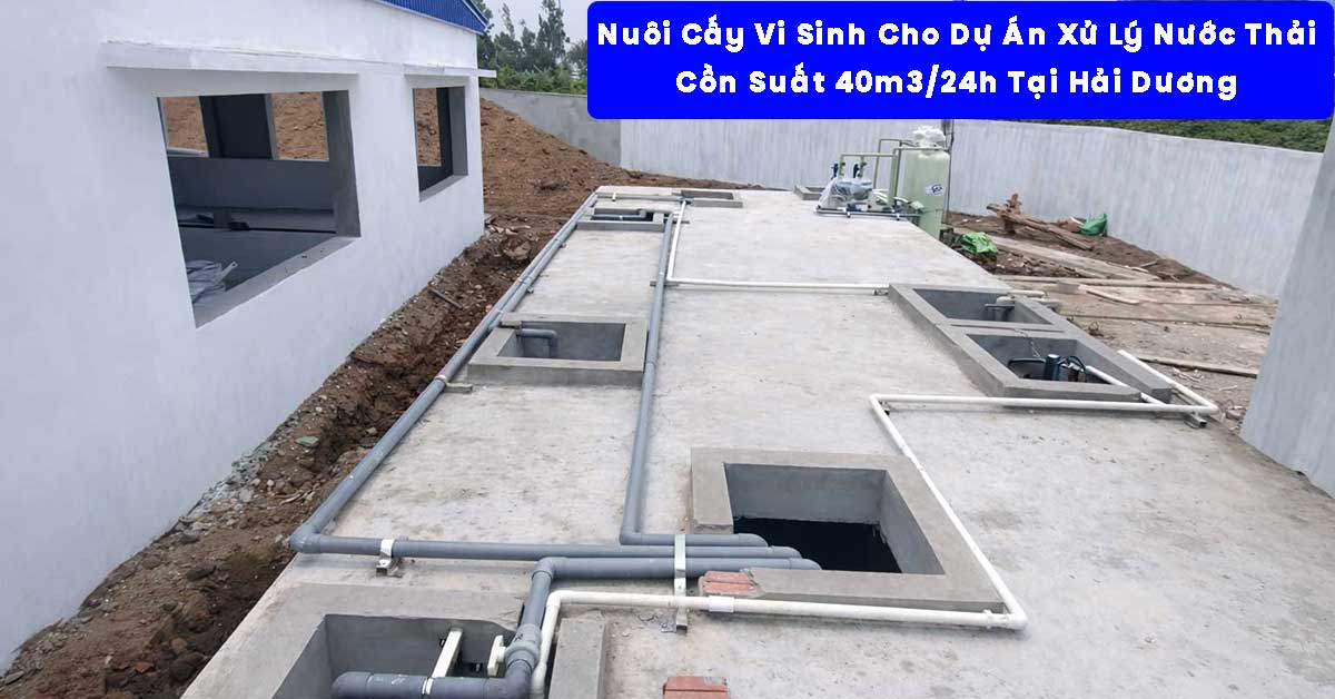 Nuôi Cấy Vi Sinh Cho Dự Án Xử Lý Nước Thải 40m3/24h Tại Hải Dương
